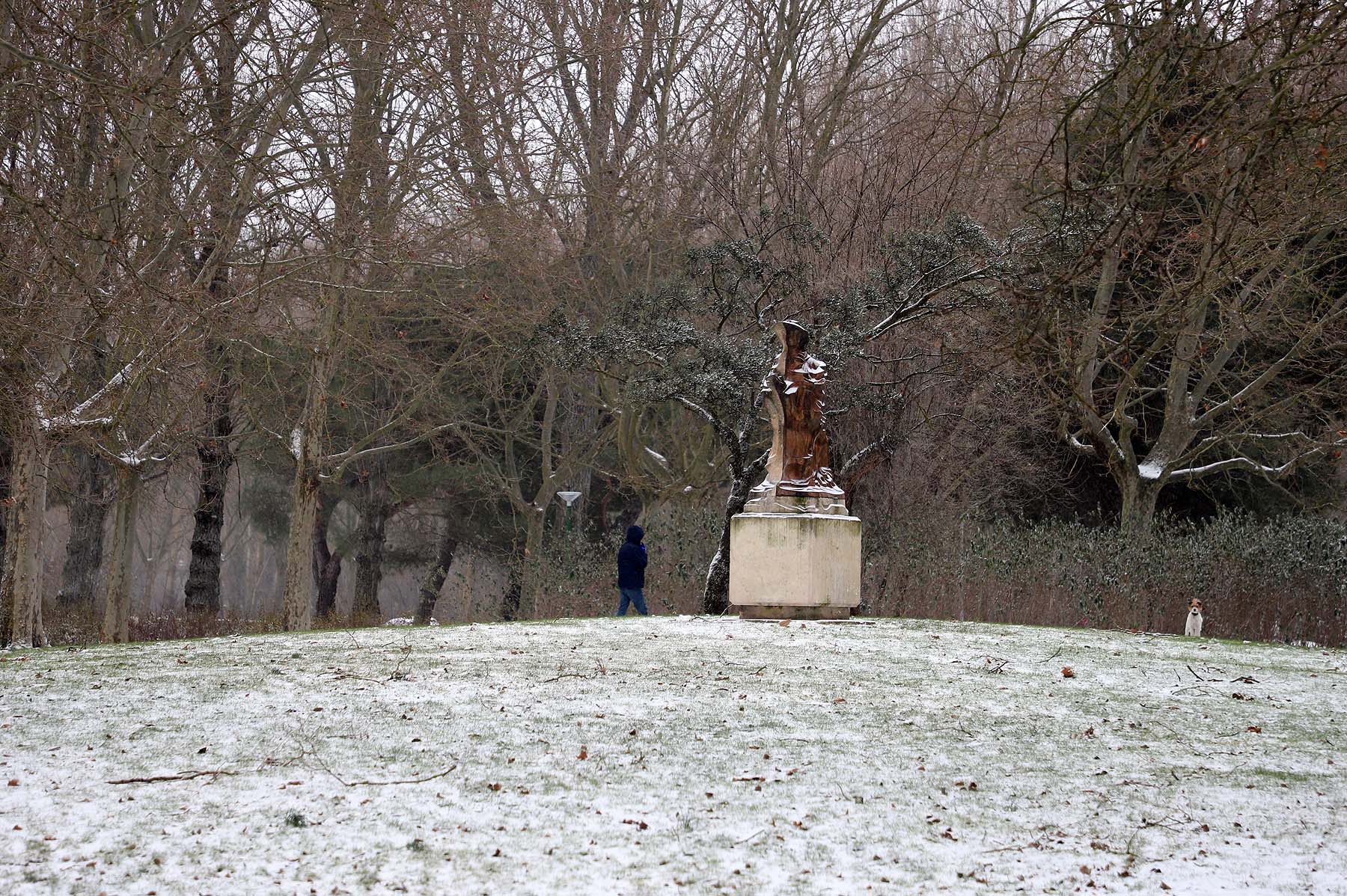 Fotos: Burgos se cubre de nieve gracias a Filomena