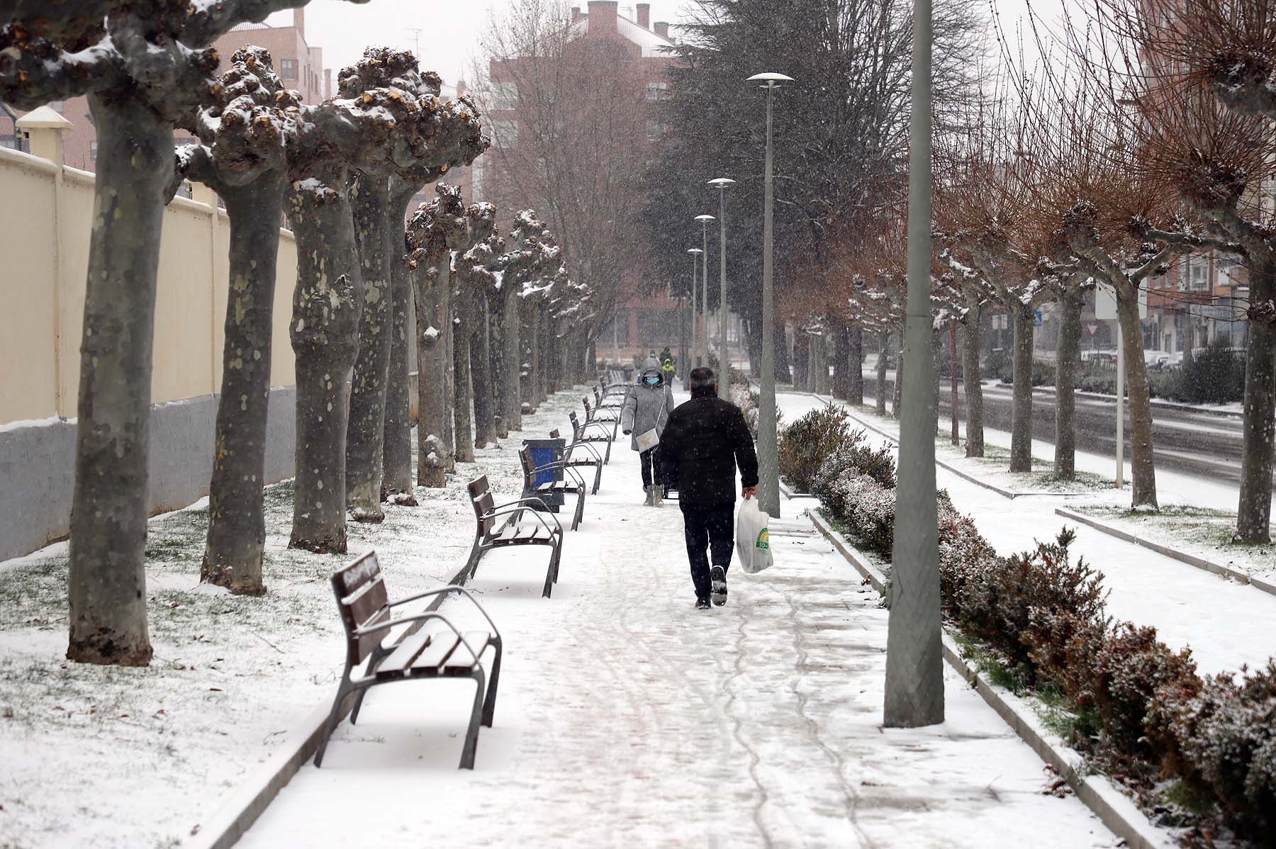 Fotos: Burgos se cubre de nieve gracias a Filomena