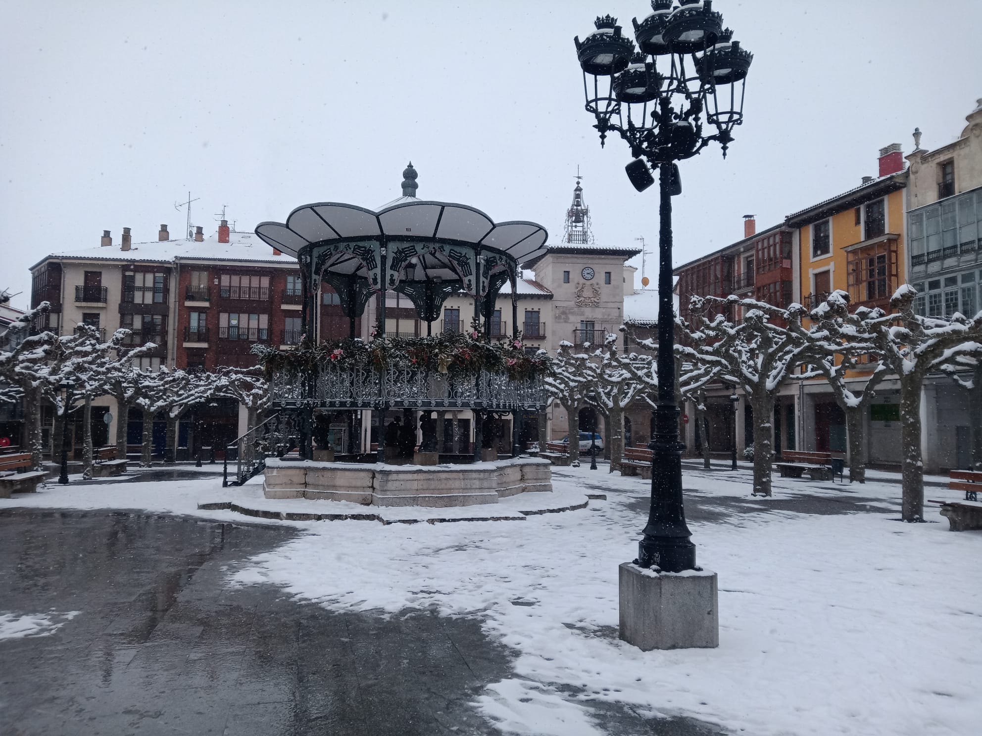 Fotos: Filomena riega de nieve la provincia de Burgos