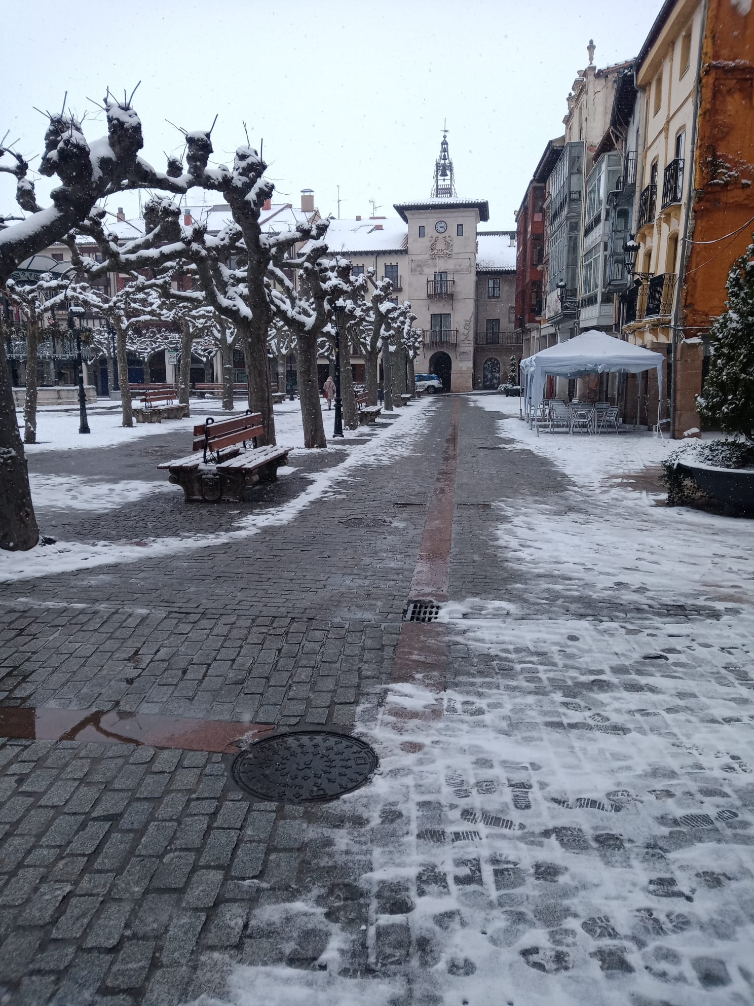 Fotos: Filomena riega de nieve la provincia de Burgos