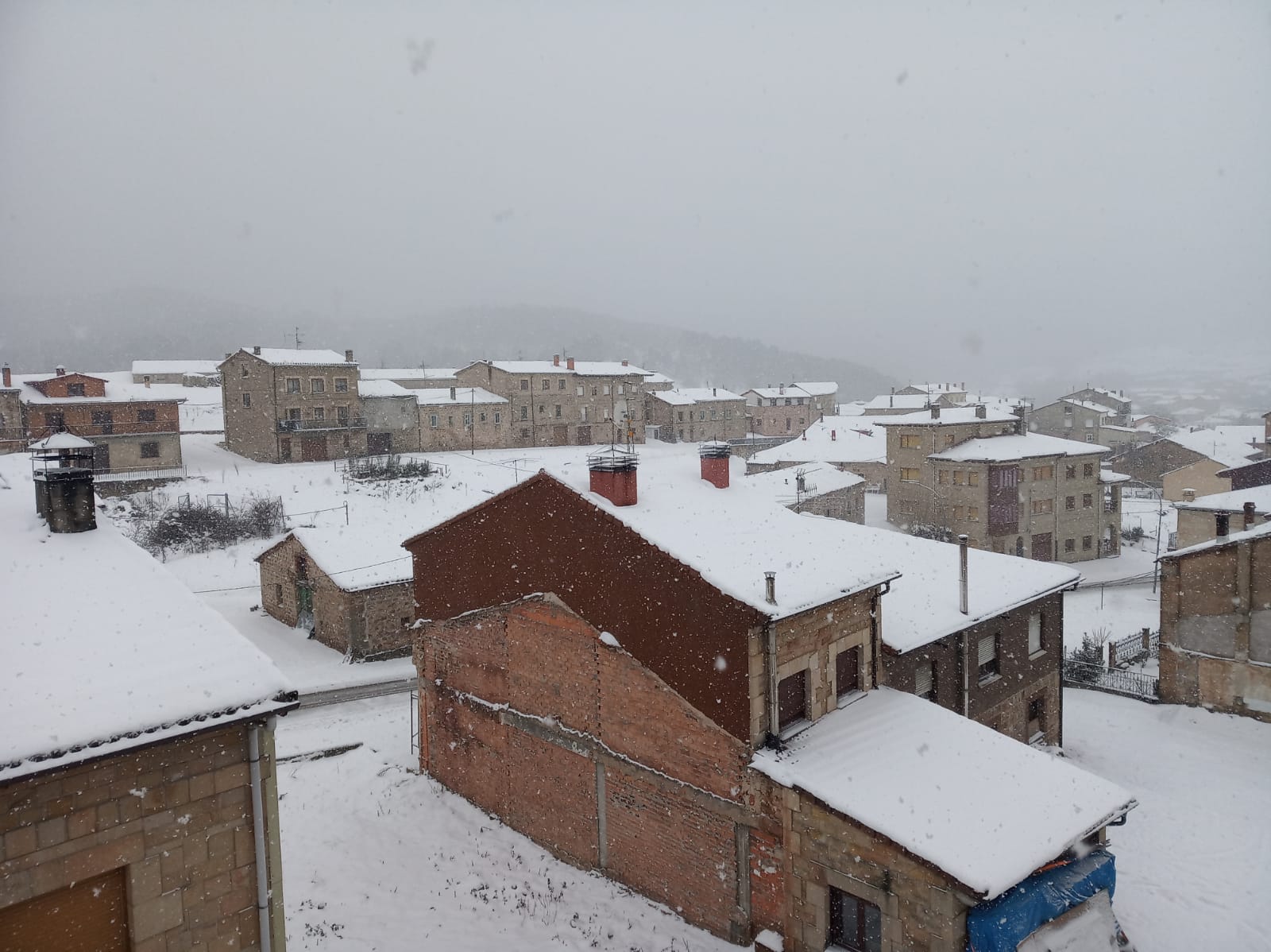 Fotos: Filomena riega de nieve la provincia de Burgos