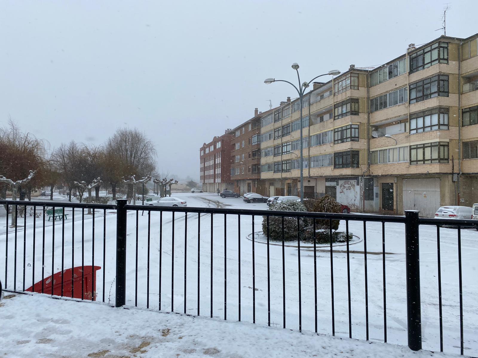 Fotos: Filomena riega de nieve la provincia de Burgos