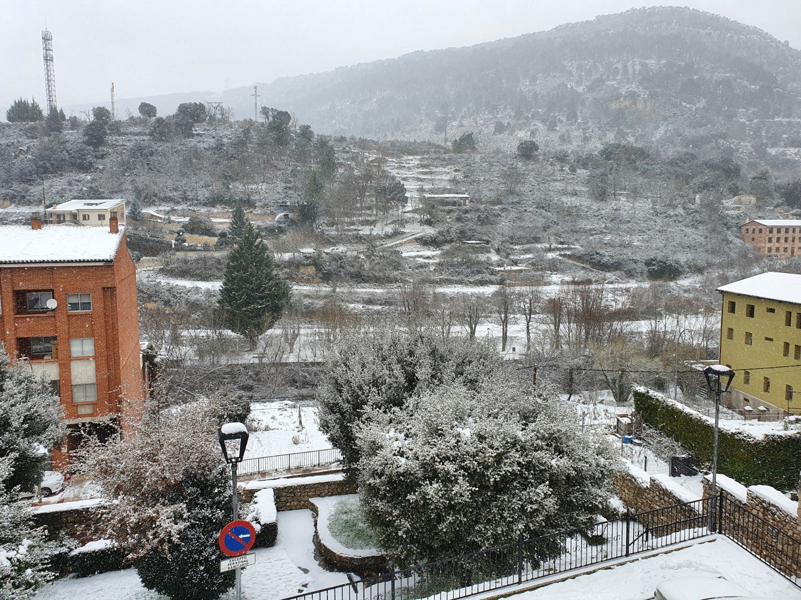 Fotos: Filomena riega de nieve la provincia de Burgos