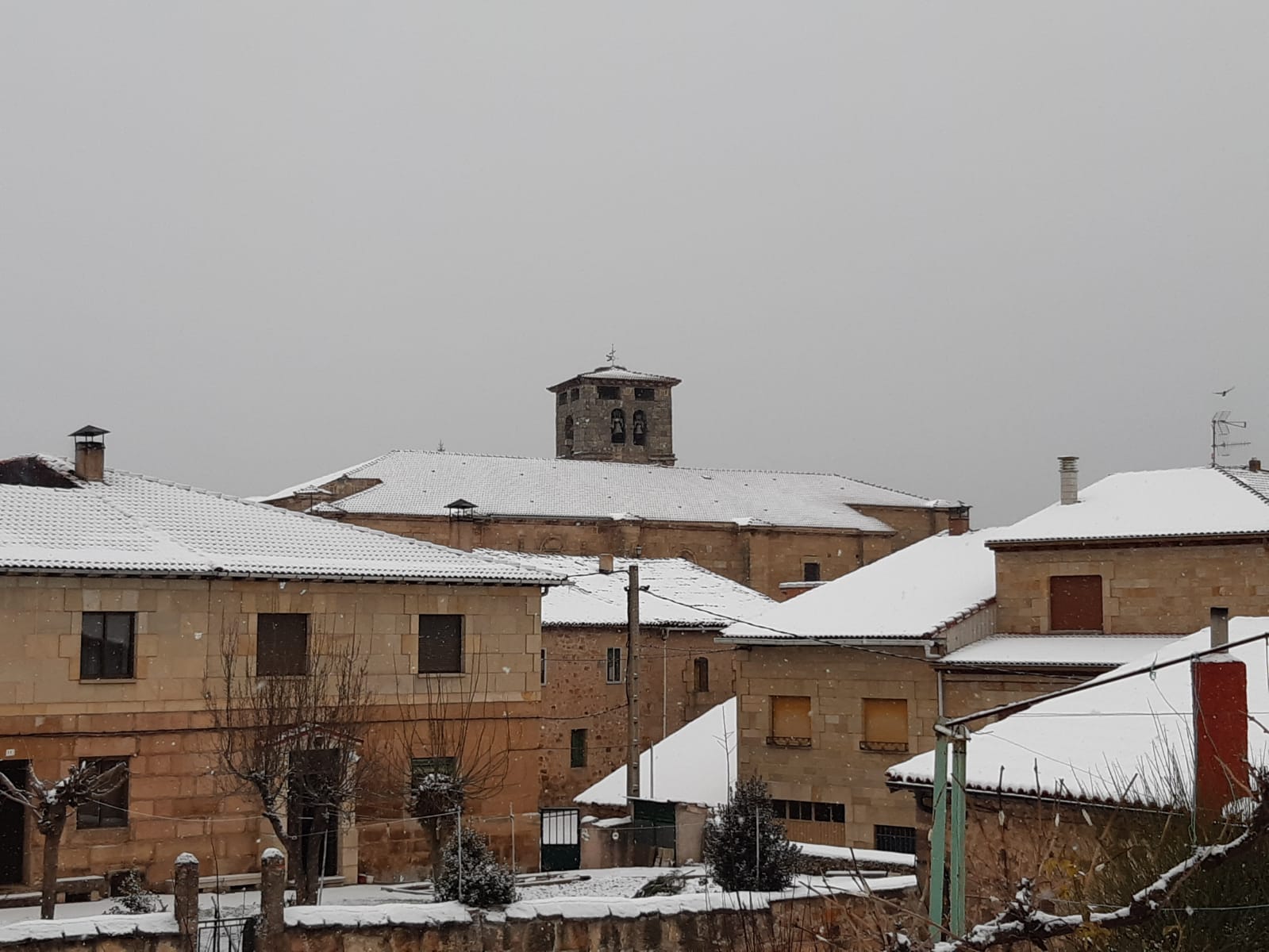 Fotos: Filomena riega de nieve la provincia de Burgos