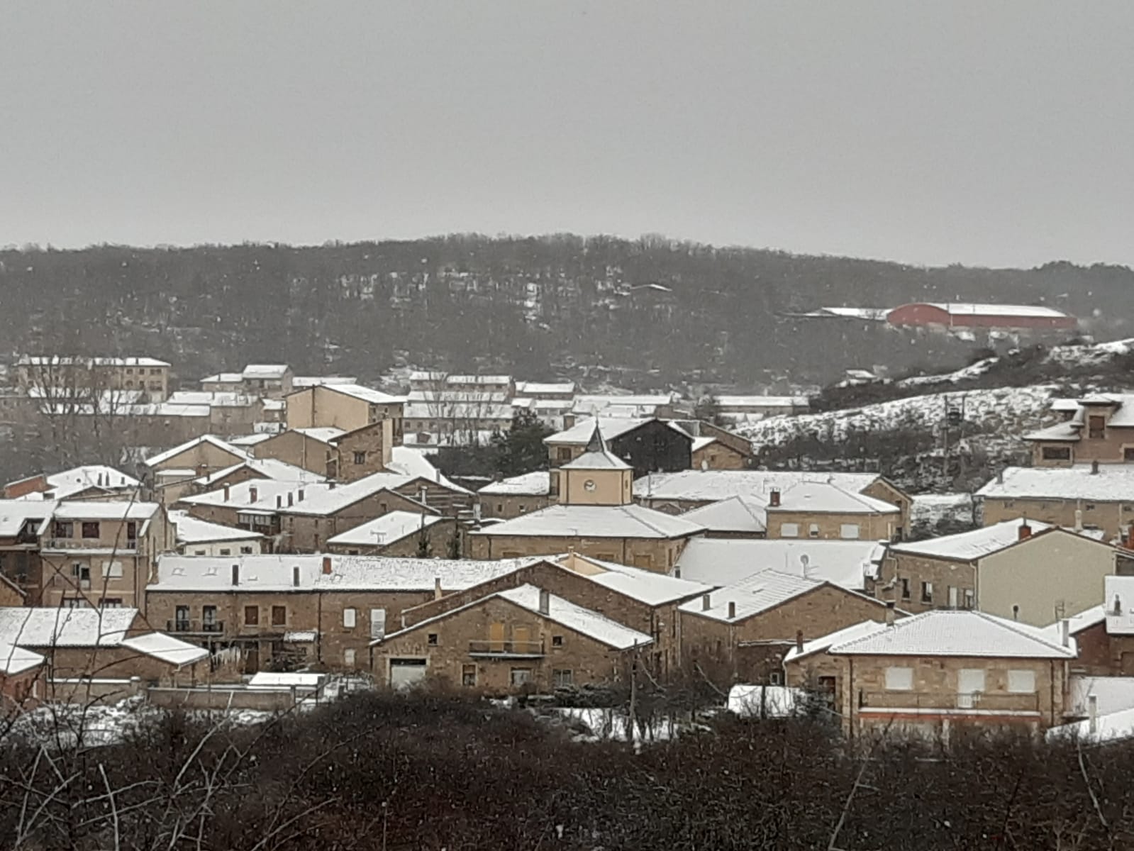 Fotos: Filomena riega de nieve la provincia de Burgos