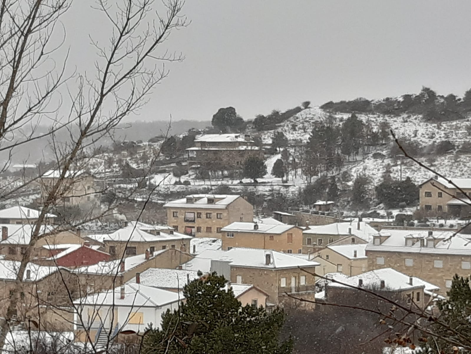 Fotos: Filomena riega de nieve la provincia de Burgos