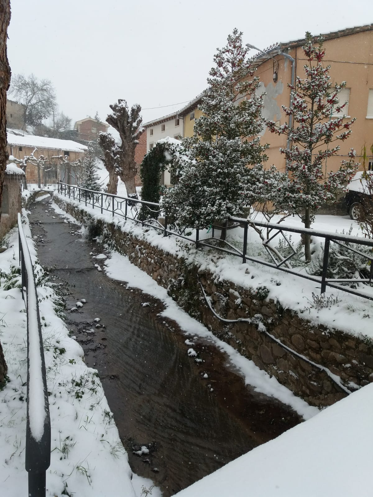 Fotos: Filomena riega de nieve la provincia de Burgos