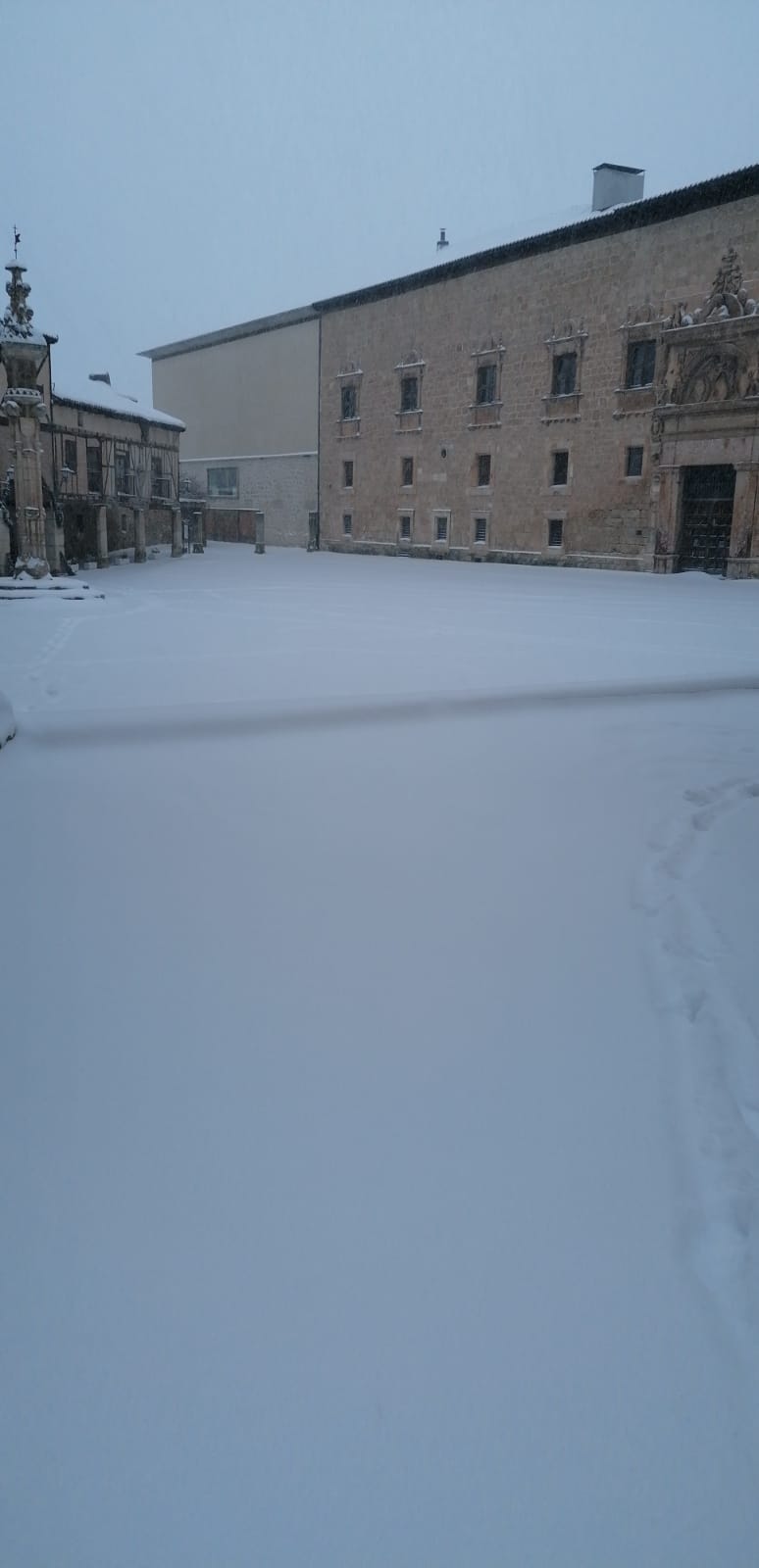 Fotos: La Ribera se cubre de blanco por la nieve de Filomena