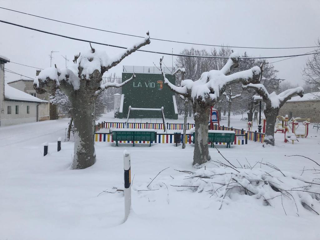 Fotos: La Ribera se cubre de blanco por la nieve de Filomena