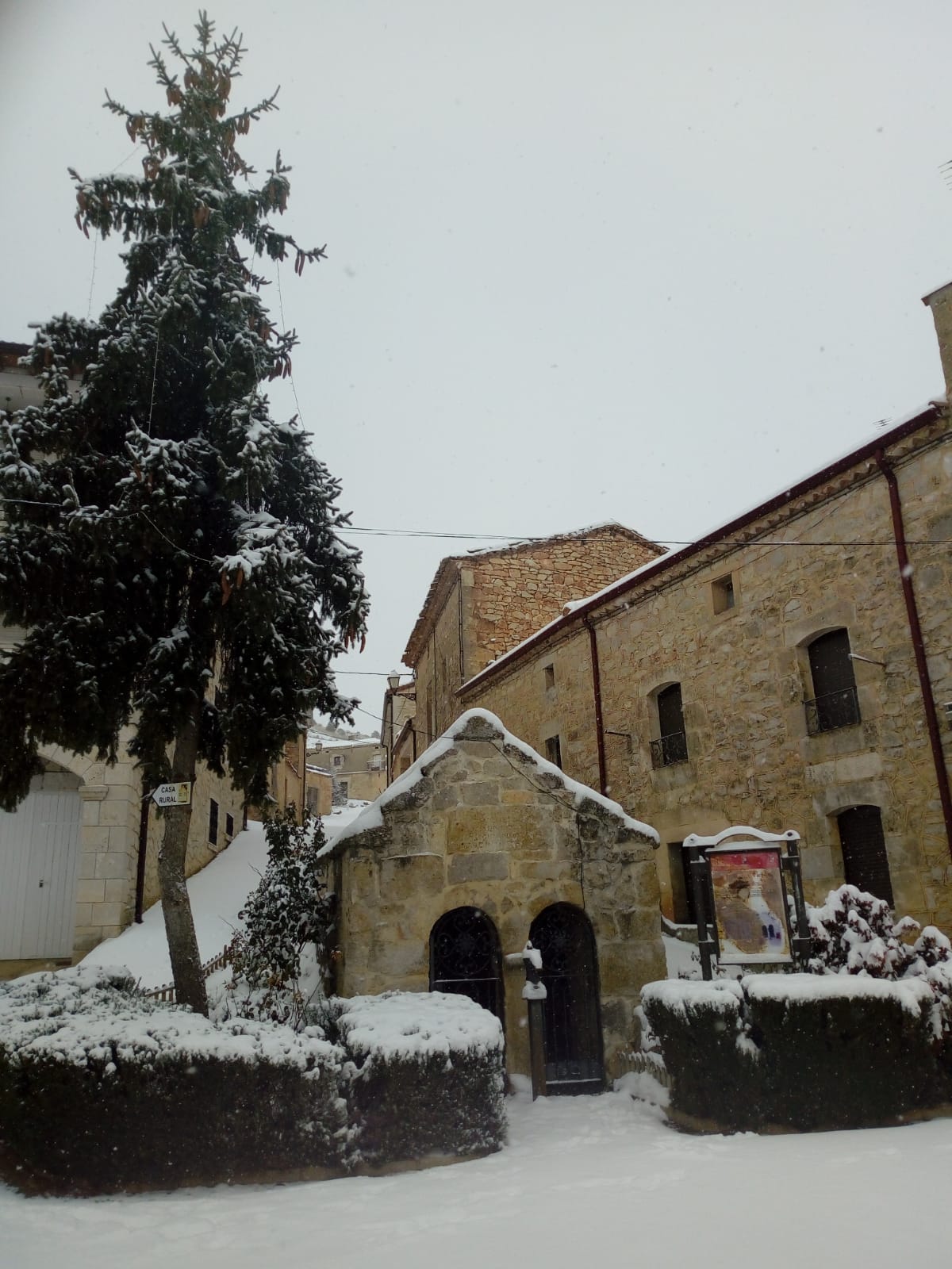 Fotos: La Ribera se cubre de blanco por la nieve de Filomena