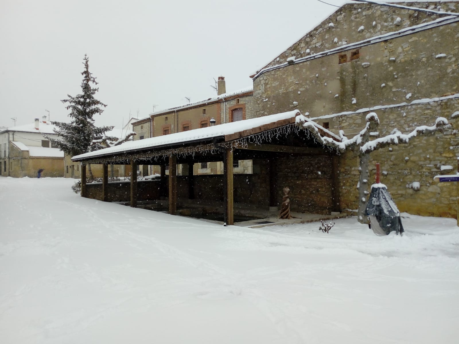 Fotos: La Ribera se cubre de blanco por la nieve de Filomena