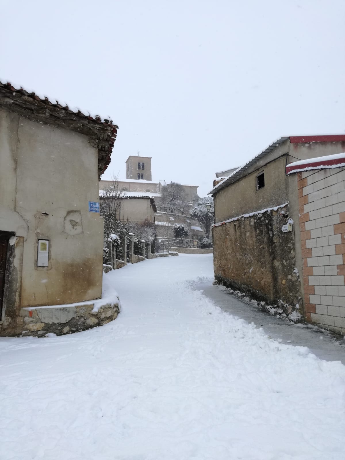 Fotos: La Ribera se cubre de blanco por la nieve de Filomena