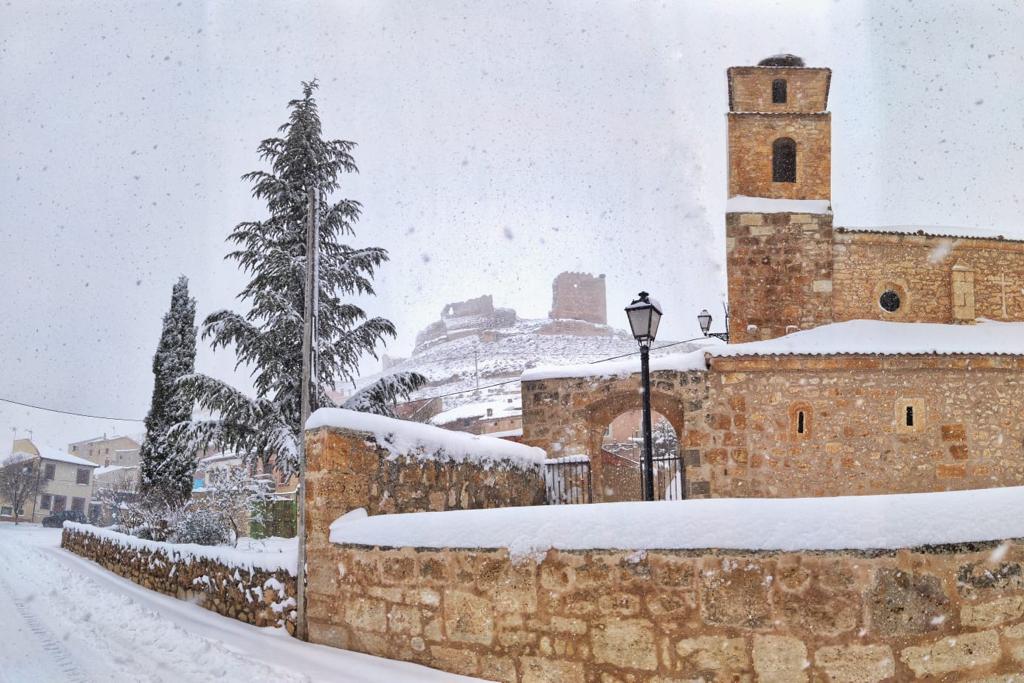 Fotos: La Ribera se cubre de blanco por la nieve de Filomena