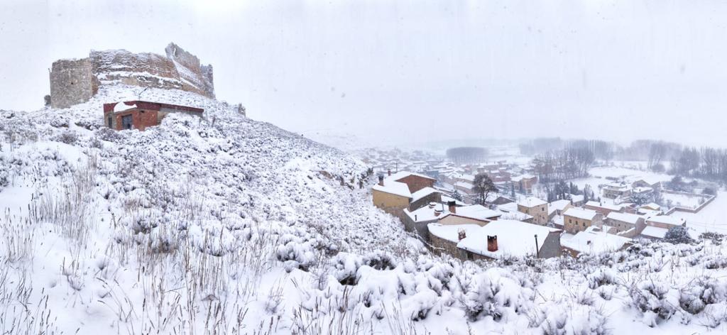 Fotos: La Ribera se cubre de blanco por la nieve de Filomena