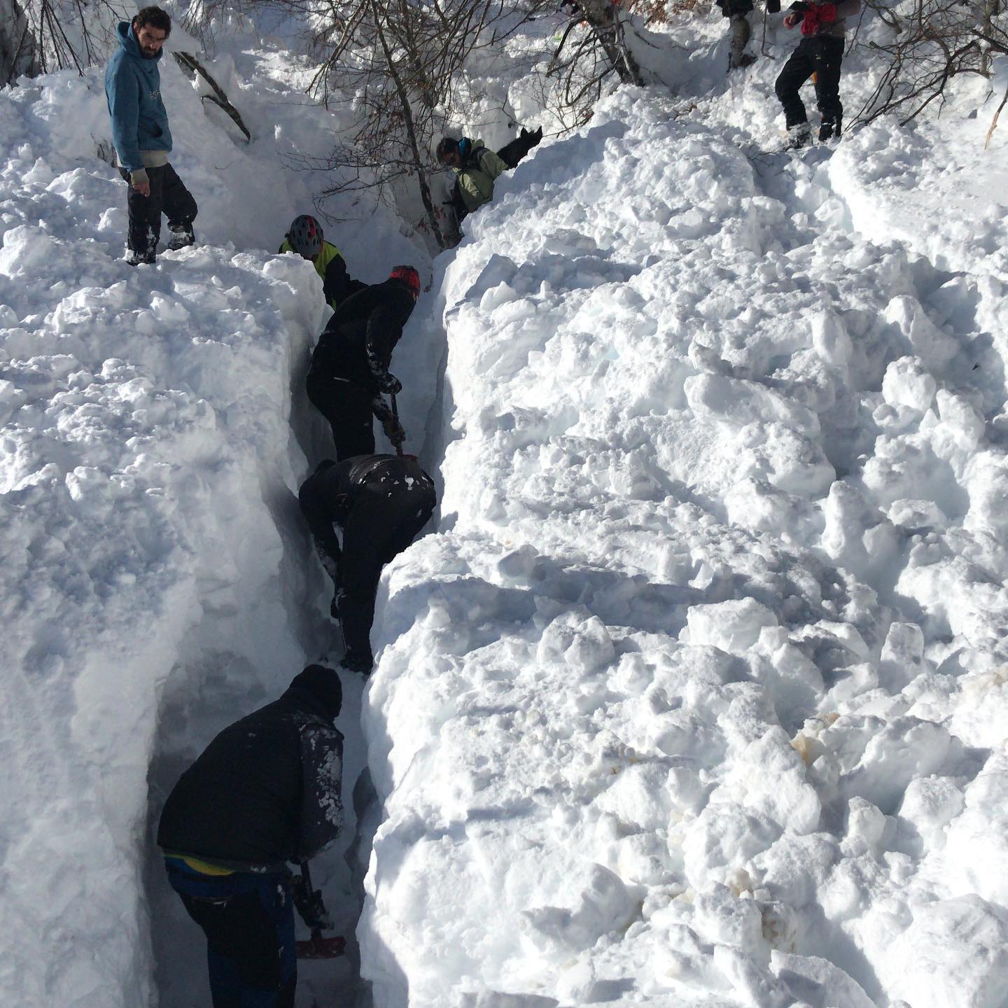 Fotos: Al rescate de las yeguas sepultadas por la nieve en Castro Valnera (Burgos)