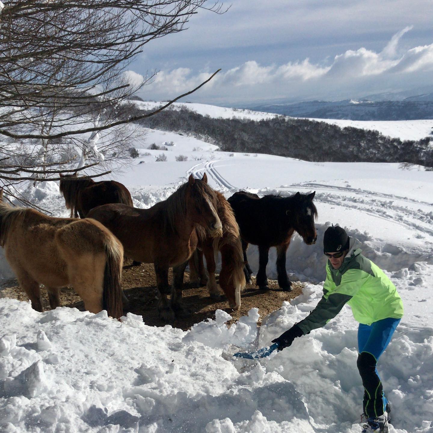 Fotos: Al rescate de las yeguas sepultadas por la nieve en Castro Valnera (Burgos)