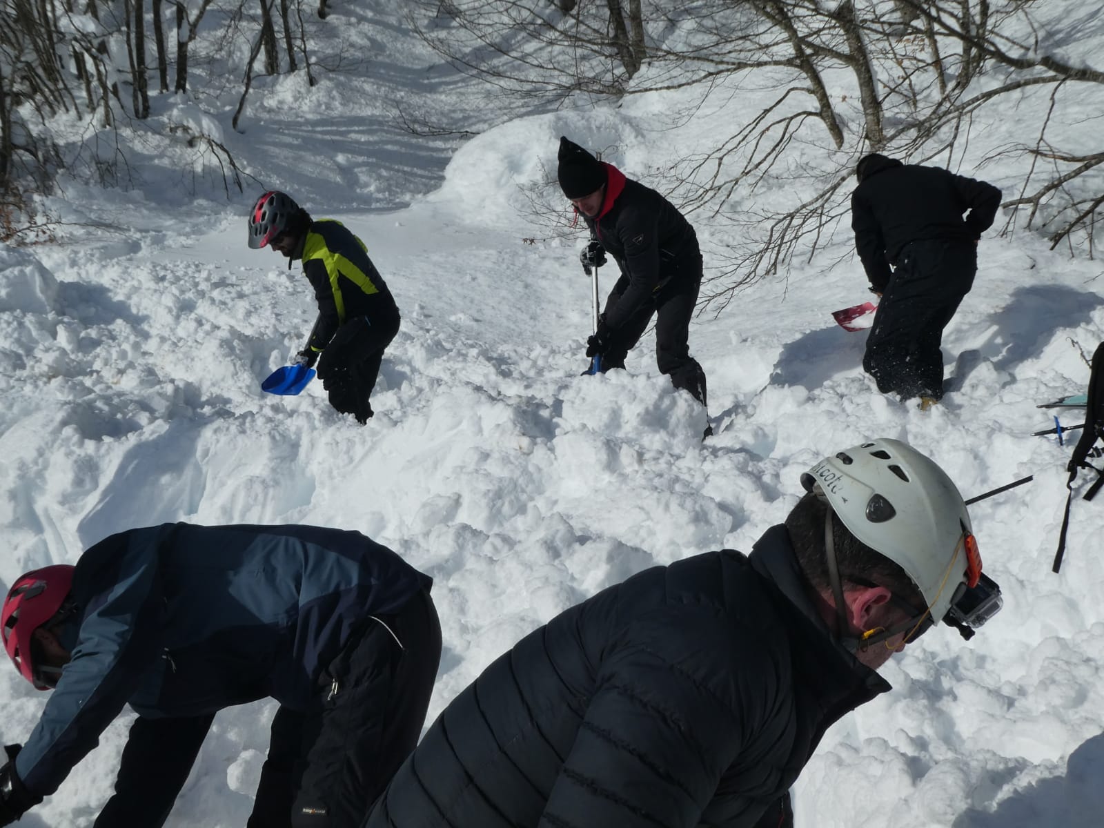 Fotos: Al rescate de las yeguas sepultadas por la nieve en Castro Valnera (Burgos)