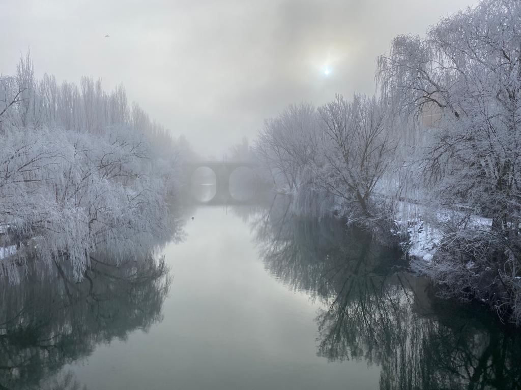 Fotos: La provincia burgalesa vuelve a ser &#039;conquistada&#039; por la cencellada