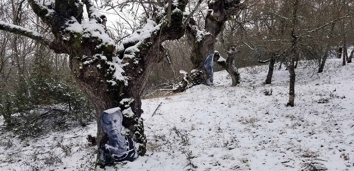 Unidos a los robles cuyas raíces anclan a la tierra de Lara, en una dehesa a la sombra de la sierra de Las Mamblas, cerca de Mambrillas de Lara, se encuentra el proyecto fotográfico 'Enraizados' | Un plan al aire libre para estos días de cierre provincial, un homenaje a los que han trabajado la tierra. 