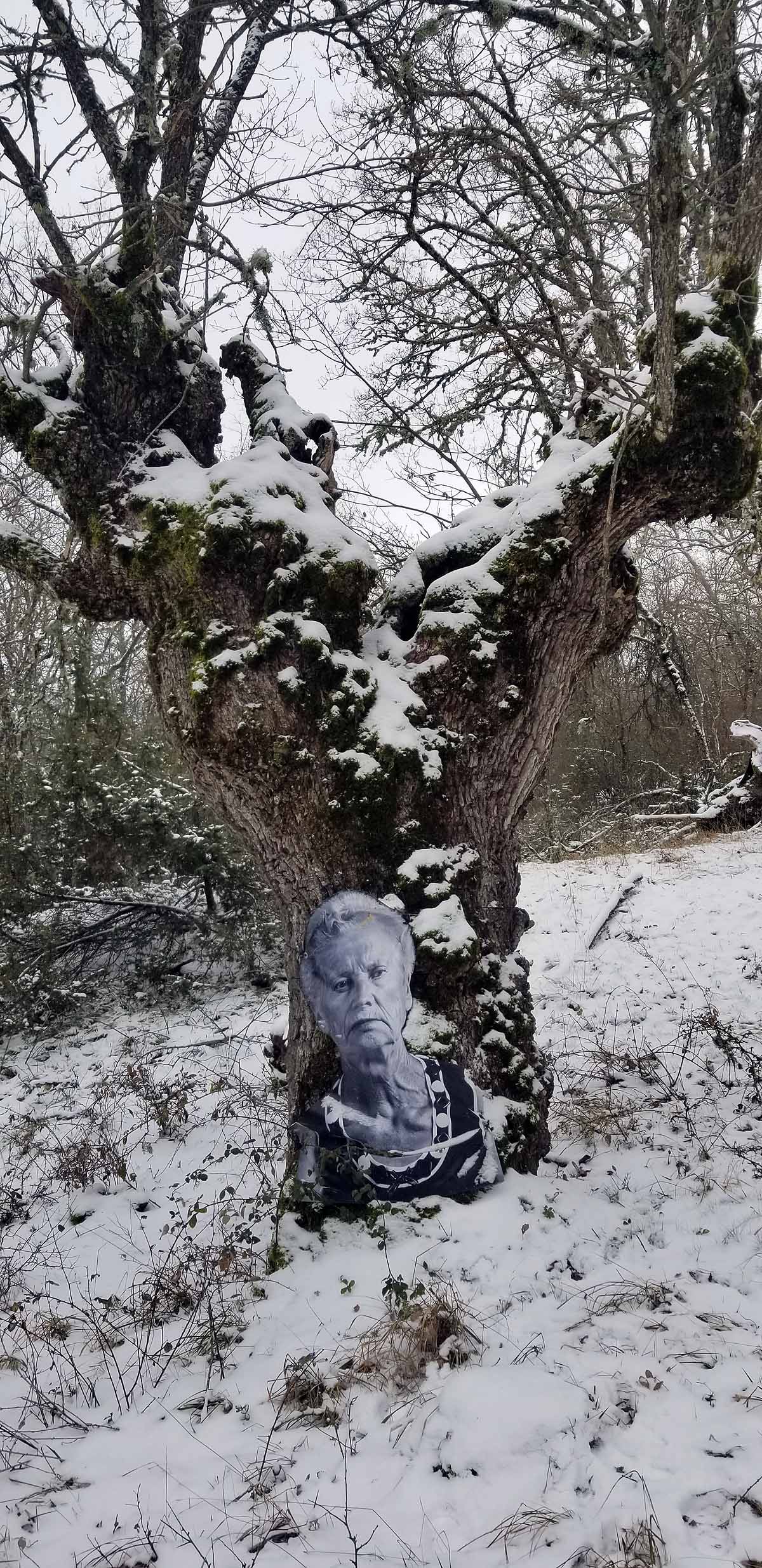 Unidos a los robles cuyas raíces anclan a la tierra de Lara, en una dehesa a la sombra de la sierra de Las Mamblas, cerca de Mambrillas de Lara, se encuentra el proyecto fotográfico 'Enraizados' | Un plan al aire libre para estos días de cierre provincial, un homenaje a los que han trabajado la tierra. 