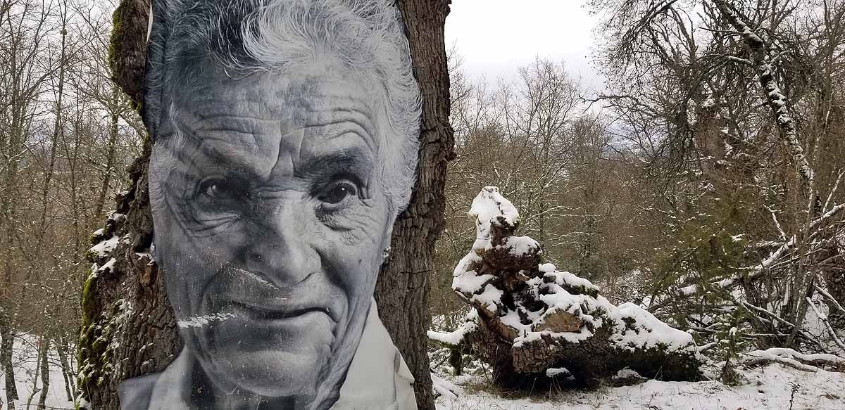 Unidos a los robles cuyas raíces anclan a la tierra de Lara, en una dehesa a la sombra de la sierra de Las Mamblas, cerca de Mambrillas de Lara, se encuentra el proyecto fotográfico 'Enraizados' | Un plan al aire libre para estos días de cierre provincial, un homenaje a los que han trabajado la tierra. 