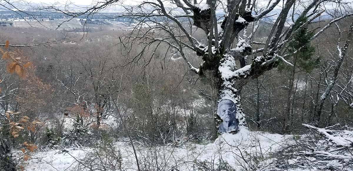 Unidos a los robles cuyas raíces anclan a la tierra de Lara, en una dehesa a la sombra de la sierra de Las Mamblas, cerca de Mambrillas de Lara, se encuentra el proyecto fotográfico 'Enraizados' | Un plan al aire libre para estos días de cierre provincial, un homenaje a los que han trabajado la tierra. 
