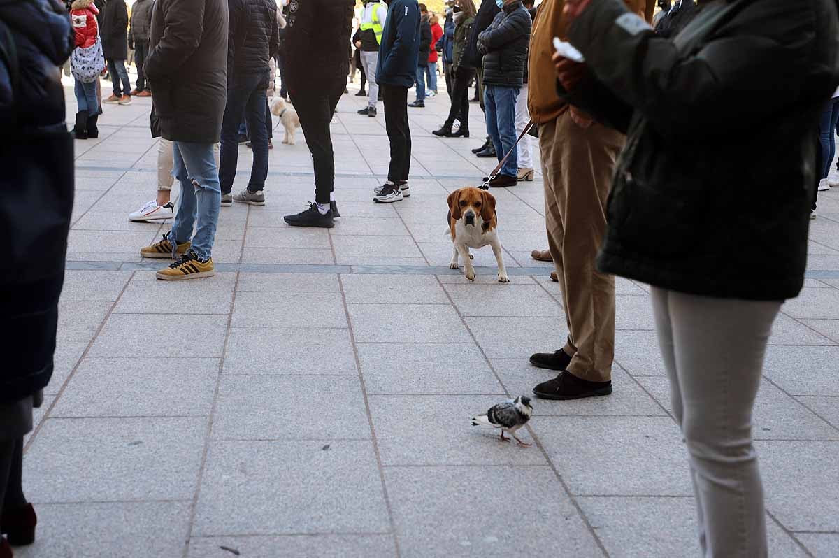 Fotos: La protesta de los empresarios de Burgos en imágenes