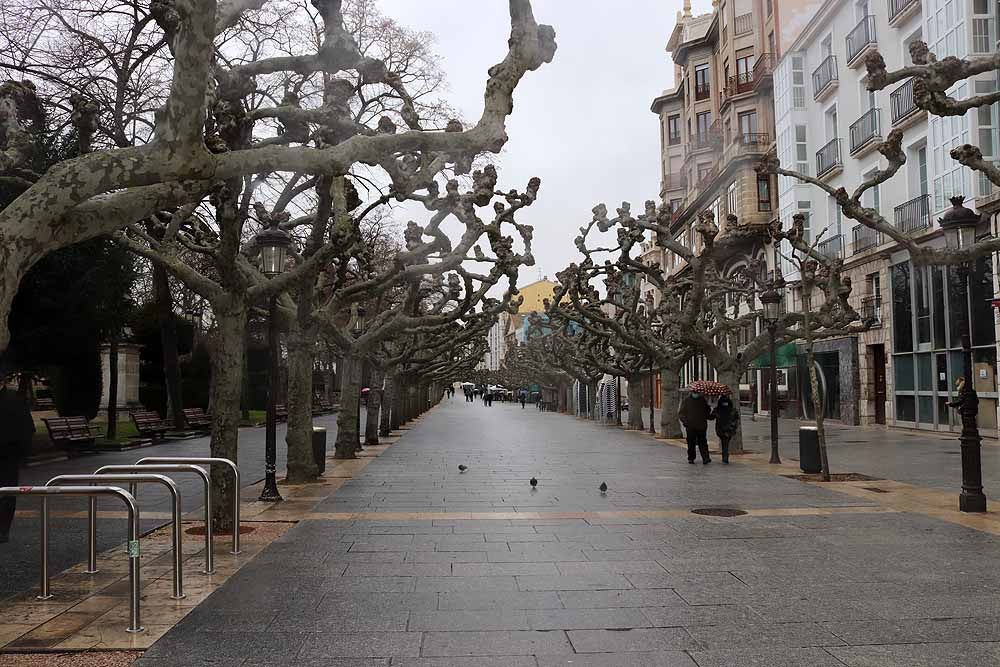 Fotos: Las calles de Burgos notan la ausencia de las fiestas por el patrón San Lesmes