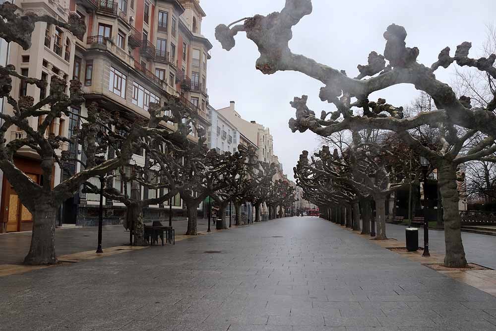 Fotos: Las calles de Burgos notan la ausencia de las fiestas por el patrón San Lesmes