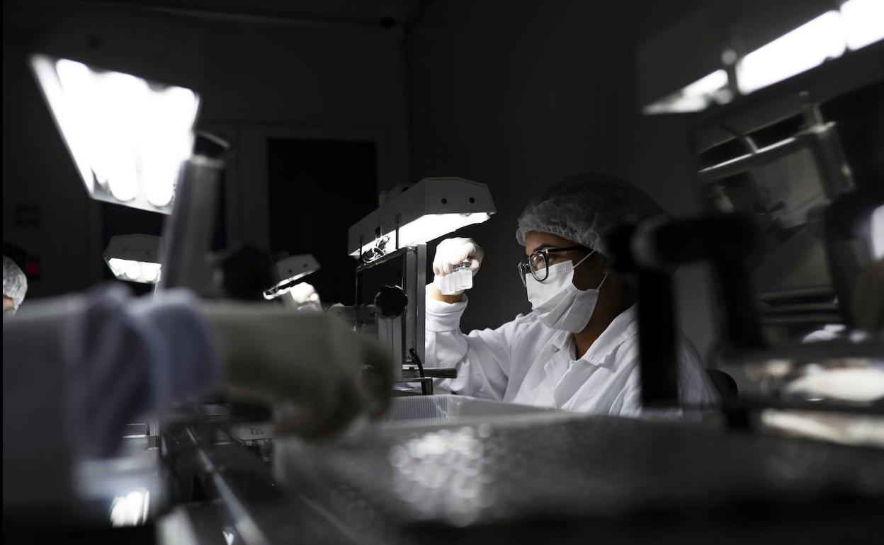 Una técnico de laboratorio inspecciona preparados de la vacuna Sinovac en un centro biomédico de Sao Paulo, en Brasil. 