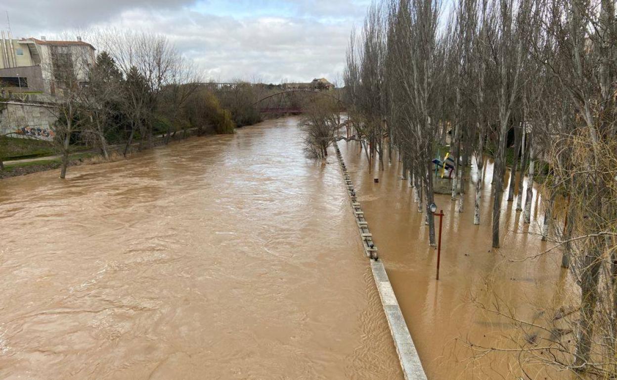 El río Duero desbordado esta semana a su paso por Aranda.