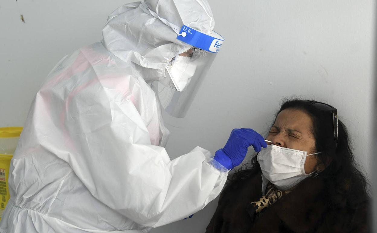 Cribado masivo realizado el viernes en Pampliega.