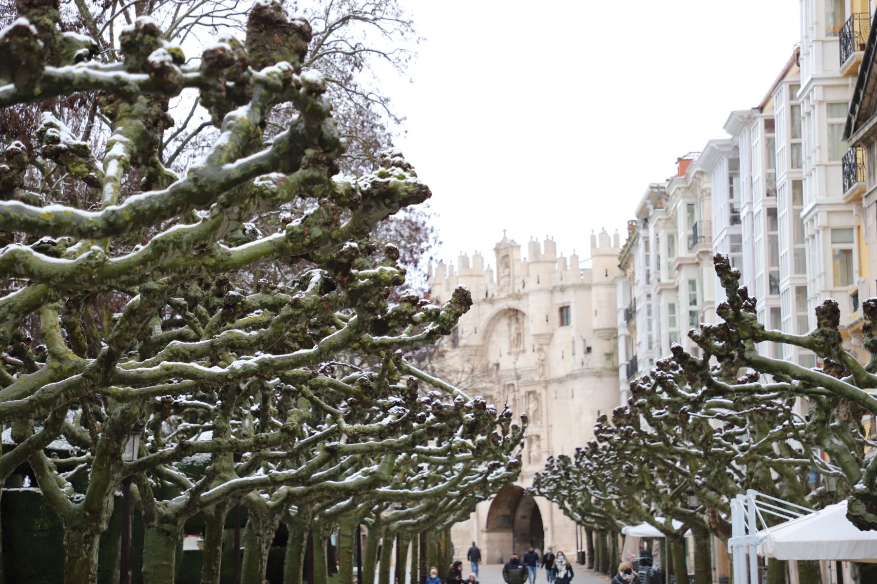 Fotos: Burgos amanece bajo una fina capa de nieve