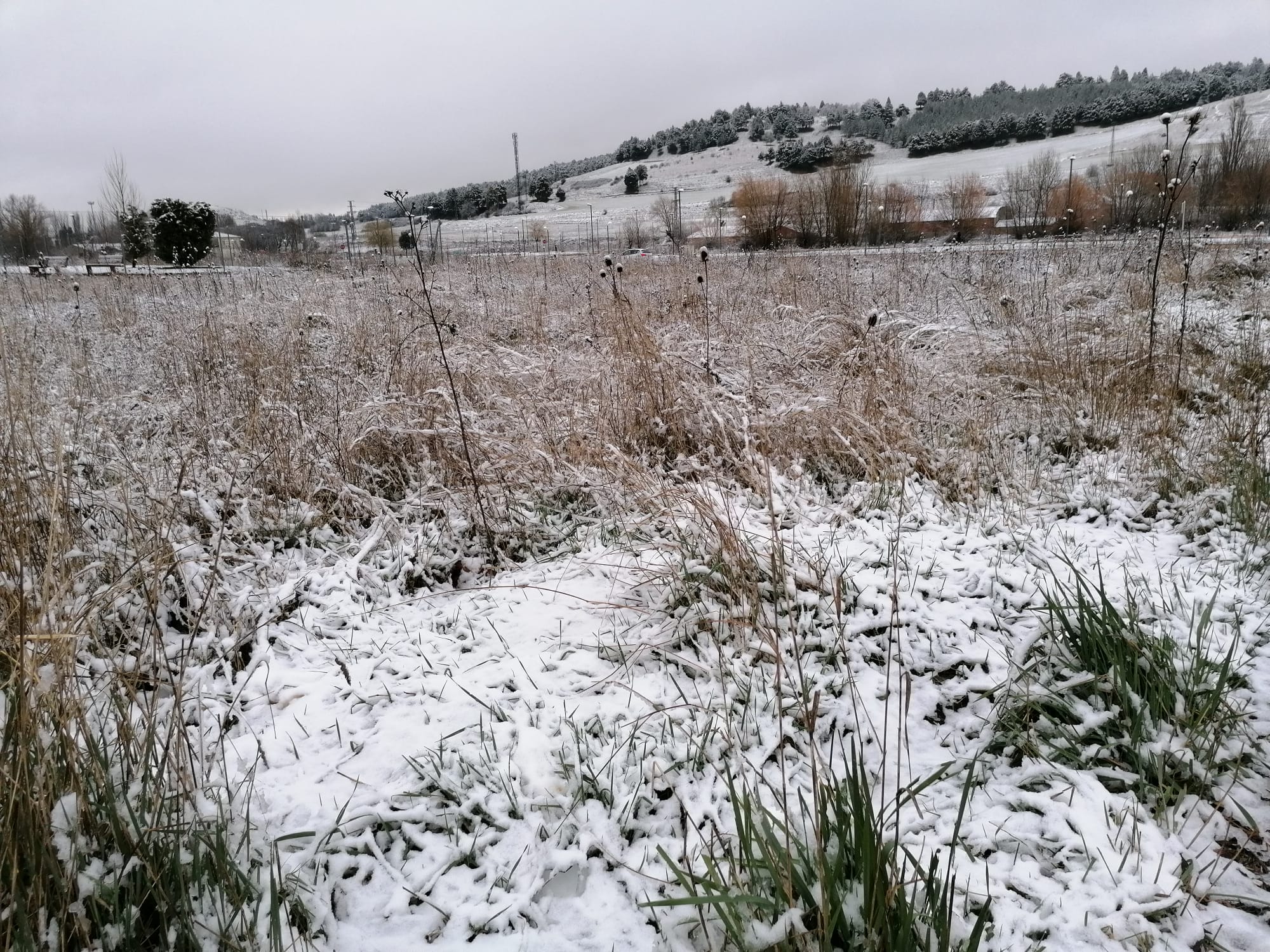 Fotos: Burgos amanece bajo una fina capa de nieve