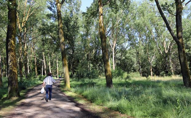 Burgos mejora el mantenimiento de las zonas verdes con el Plan de Empleo de Medio Ambiente