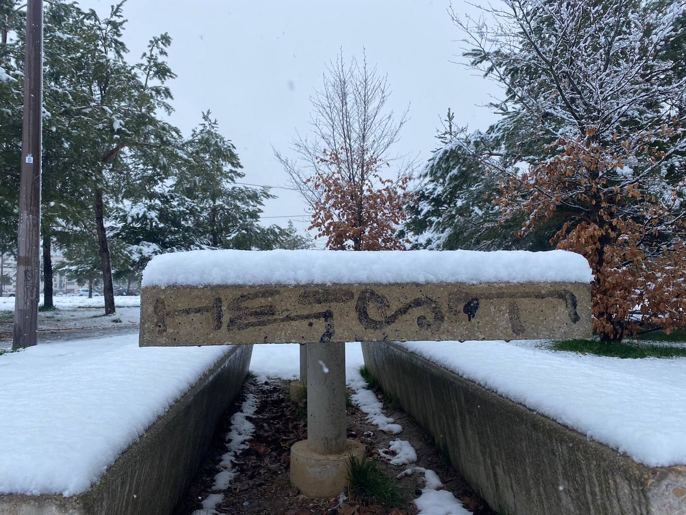 Fotos: La nieve toma el centro de Burgos