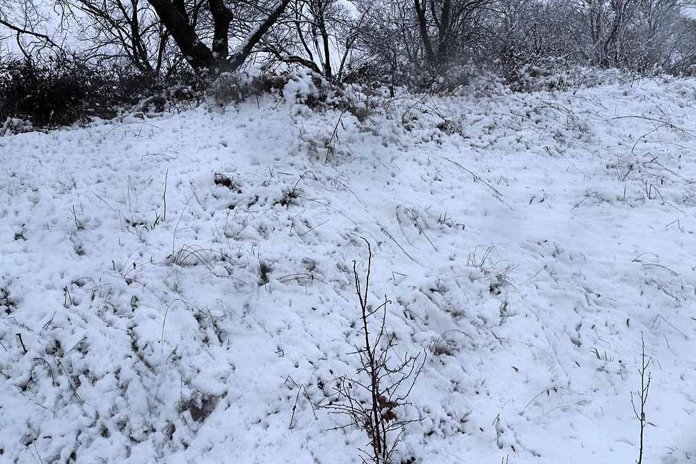 Fotos: La nieve también cubre Gamonal y Fuentecillas