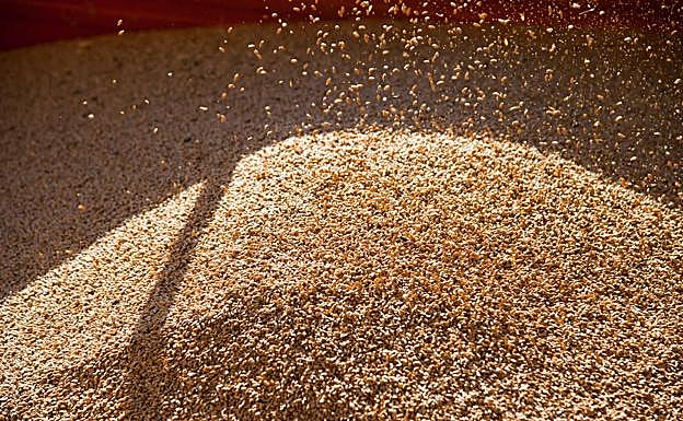 Los silos y los materiales granulares