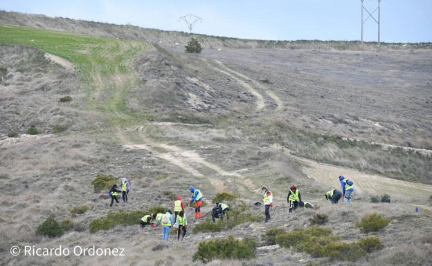 Imagen principal - Imágenes de la plantación de árboles. 