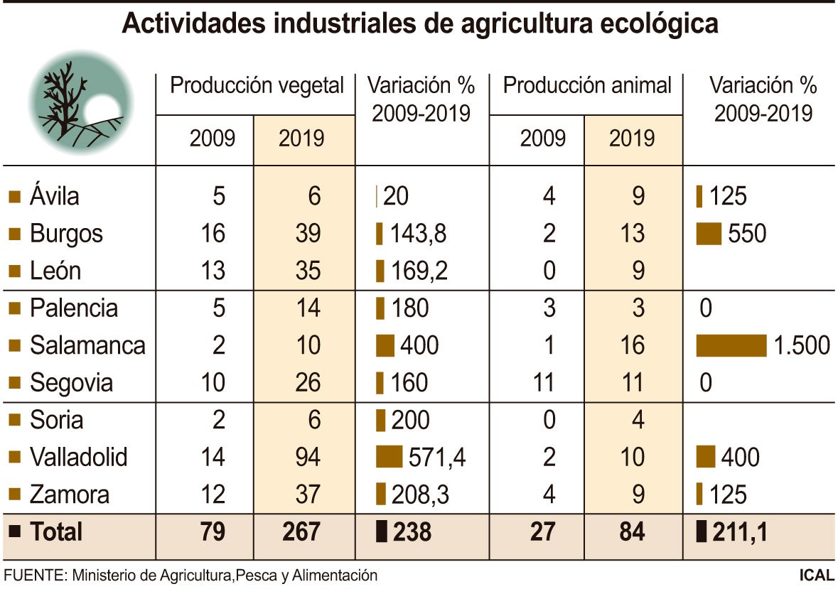 Actividades industriales de agriculura ecológica. 