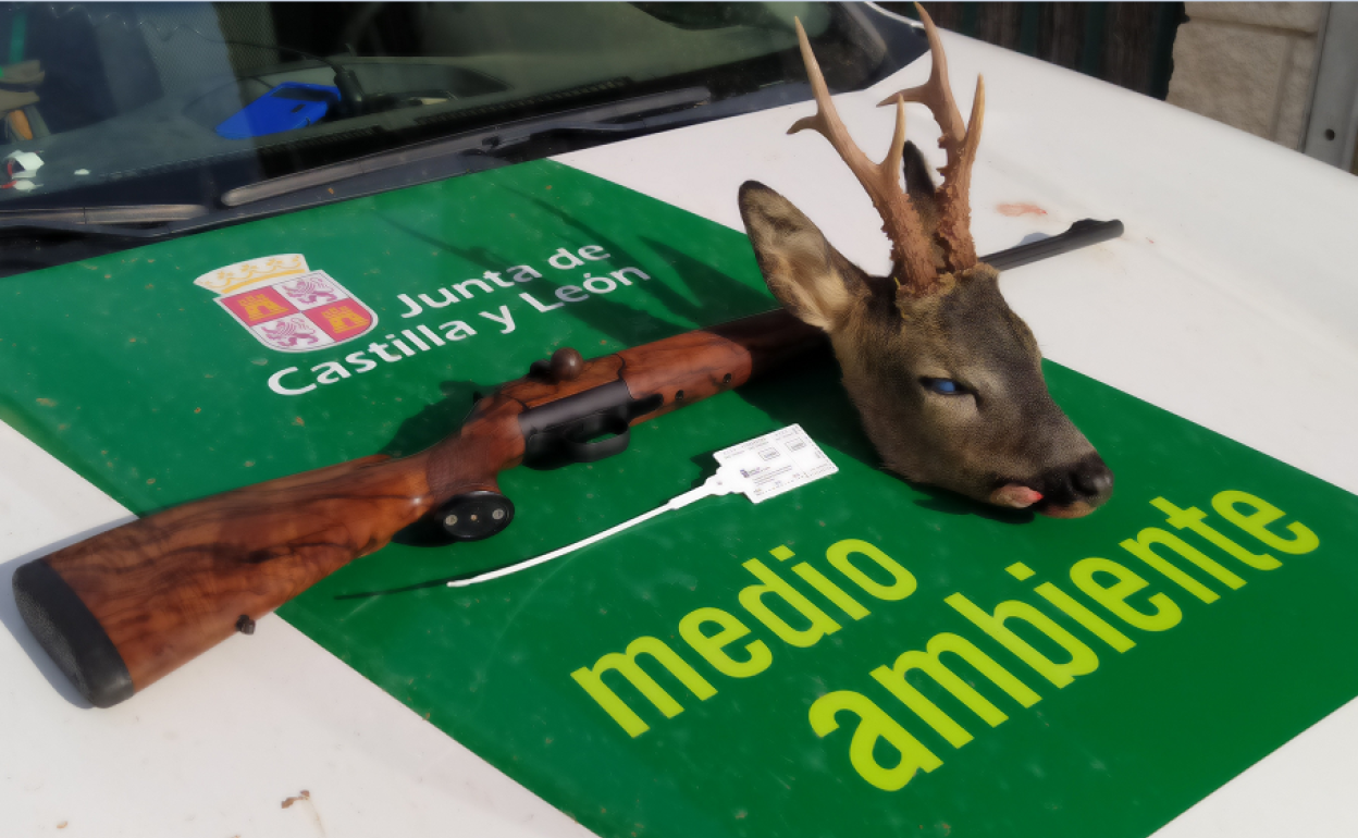 Cabeza y escopeta decomisadas.