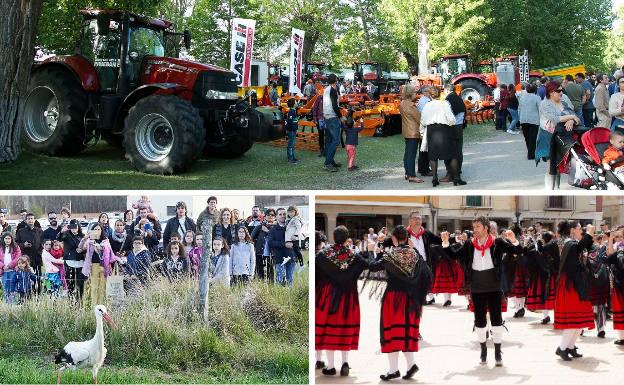 Arriba, Feria de Muestras, veterano certamen que dedica una especial atención a la maquinaria agrícola. Debajo, Feria Venalmazán, que se celebra también en La Arboleda y danza recuperada del 'Milanazo'.