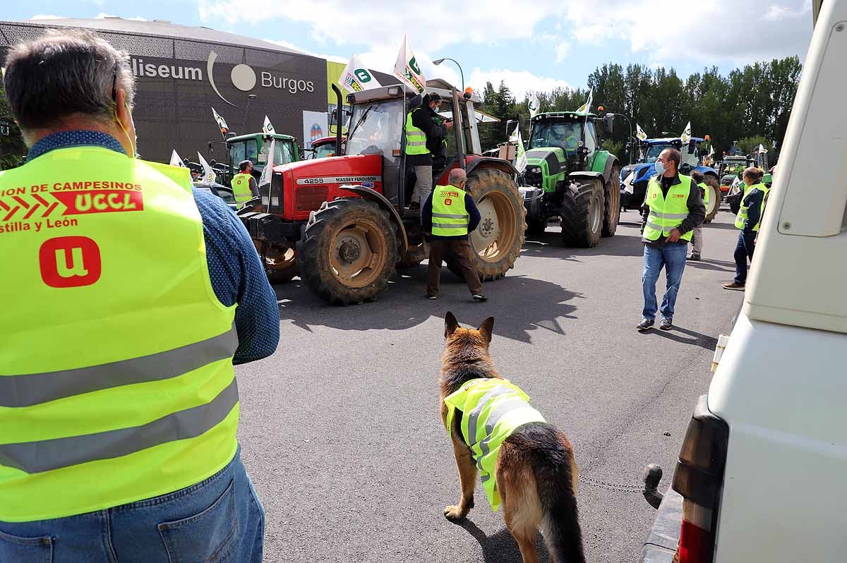 Fotos: Agricultores y ganaderos exigen en Burgos una PAC para los profesionales y los que paguen la Seguridad Social Agraria