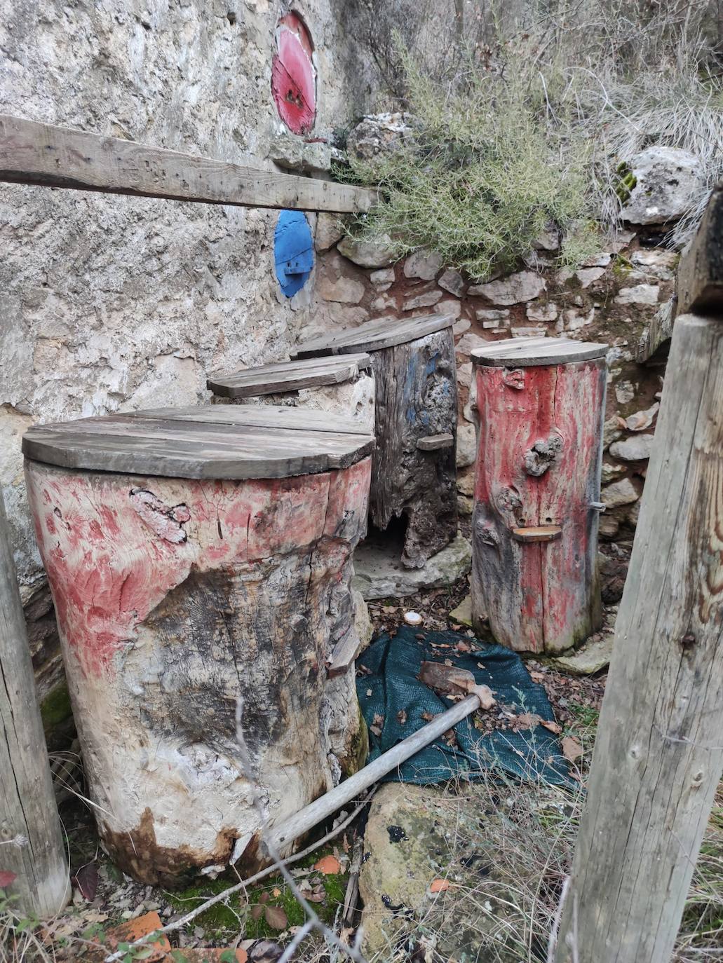 Dujos tumbados en Terradillos de Senado. 