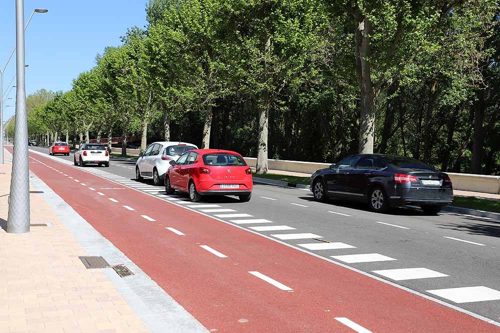 El carril bici seguirá el modelo de la Avenida del Arlanzón.