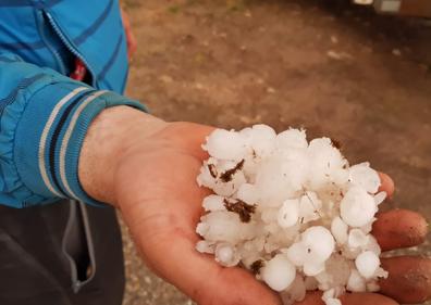 Imagen secundaria 1 - El pedrisco devasta decenas de hectáreas de viñedo en las zonas de Moradillo, Peñaranda y La Vid