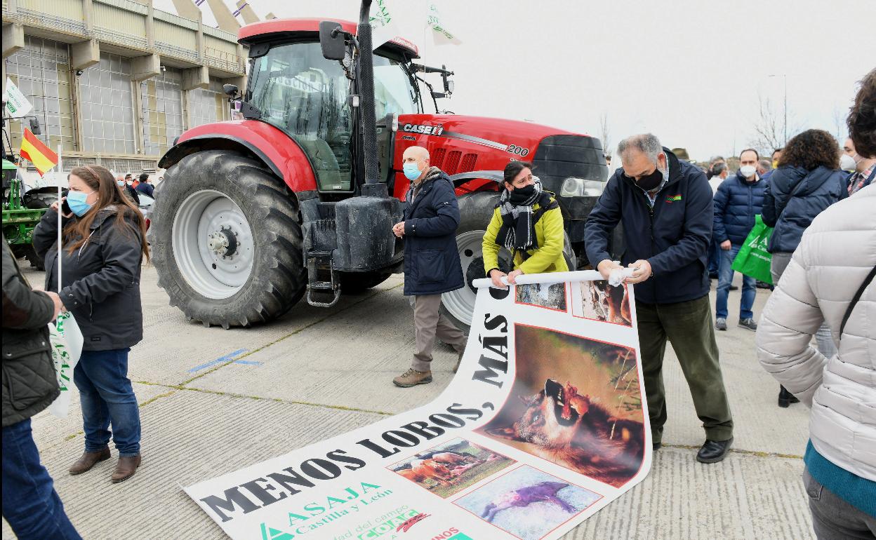 Una de las movilizaciones celebrada en Valladolid contra la sobreprotección del lobo. 