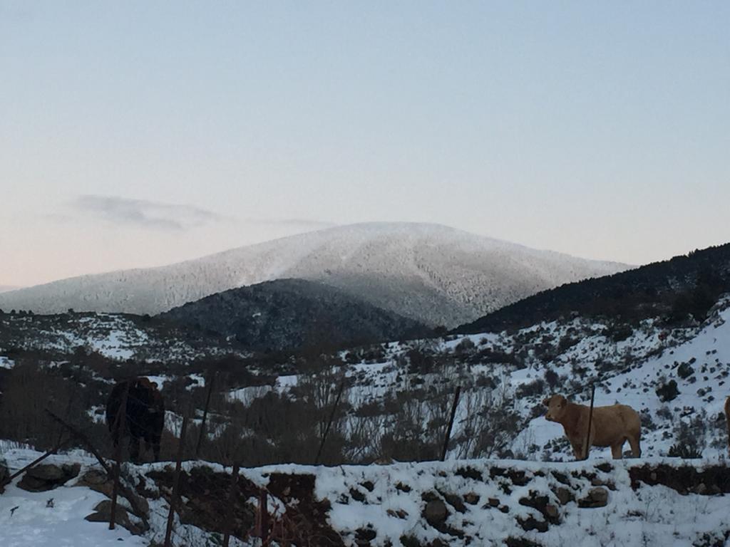 Fotos: Neila, pionero en Burgos al unirse al Corredor Biológico Mundial