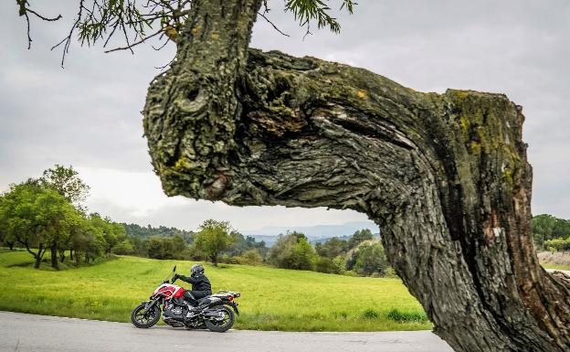 Bonito entorno para transitar con la Honda