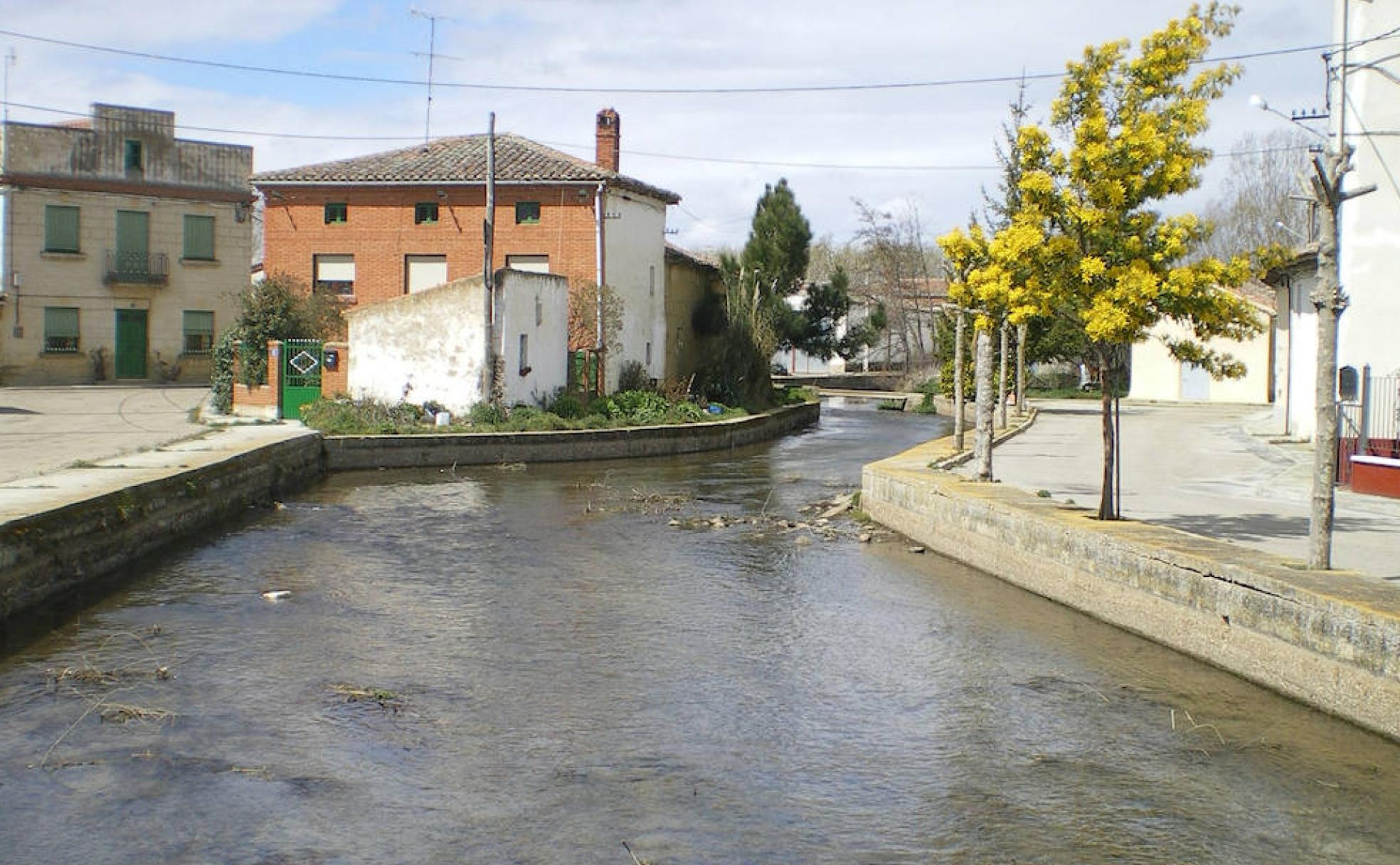 Arroyo Perionda a su paso por Pedrosa de la Vega.